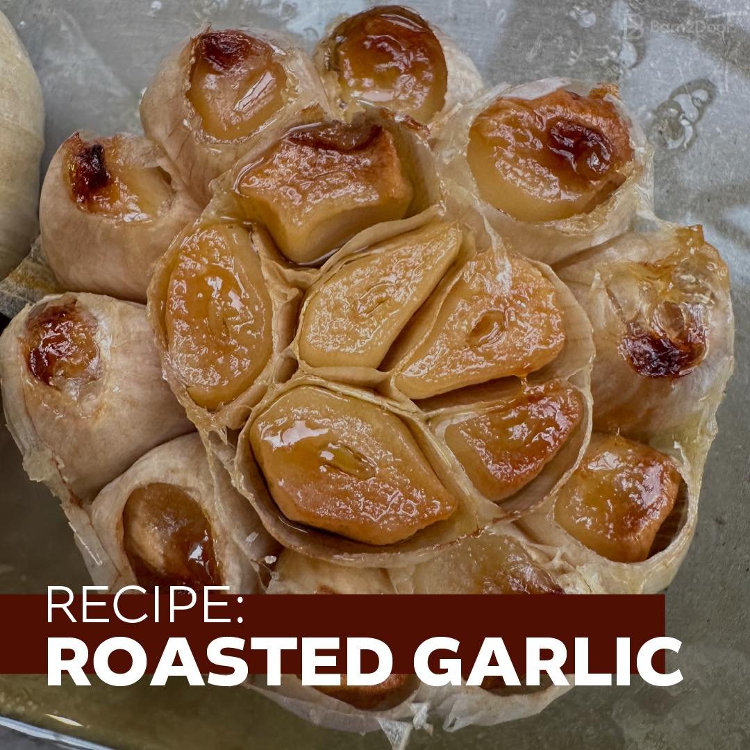 Roasted garlic sounds like a treat but is an easy thing to make (and stores in your fridge for weeks!). Roasted garlic spread on artisan bread w/Cambazola cheese and a little olive oil is a lovely appetizer. Or, use roasted garlic (once roasted, just