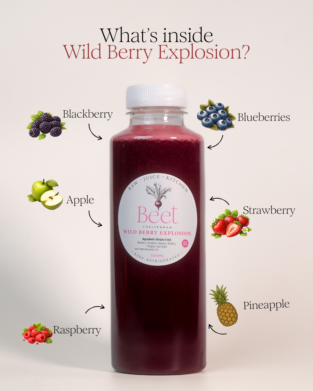 WildBerry-4.png