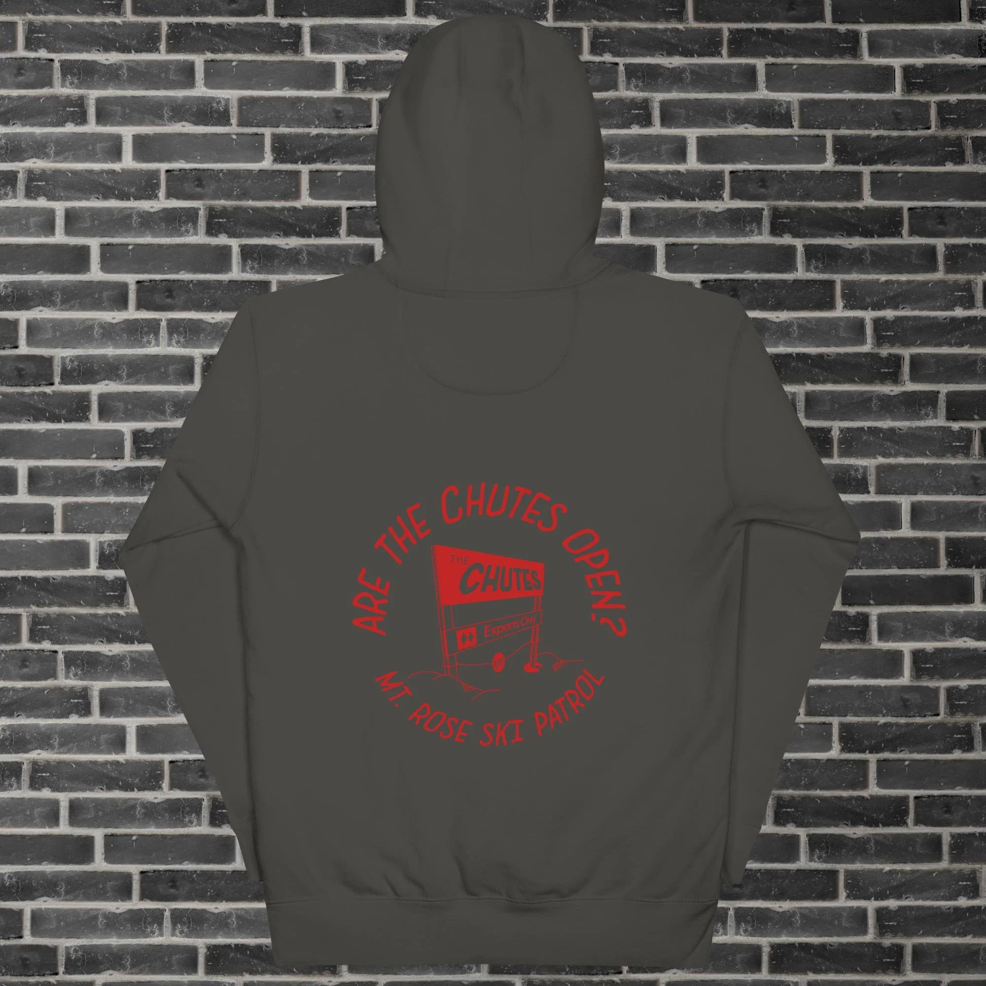 unisex-premium-hoodie-vintage-black-back-680a7dc826cde.jpg