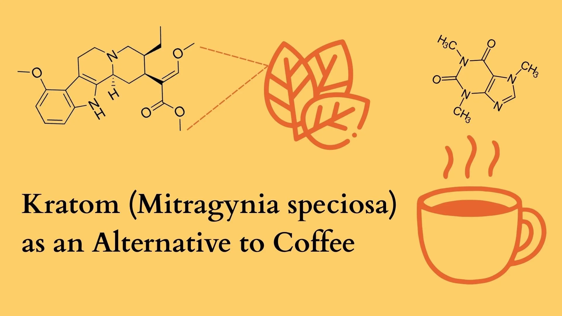 New Observational Data on Mitragyna speciosa Korth (Kratom) as an Alternative to Coffee