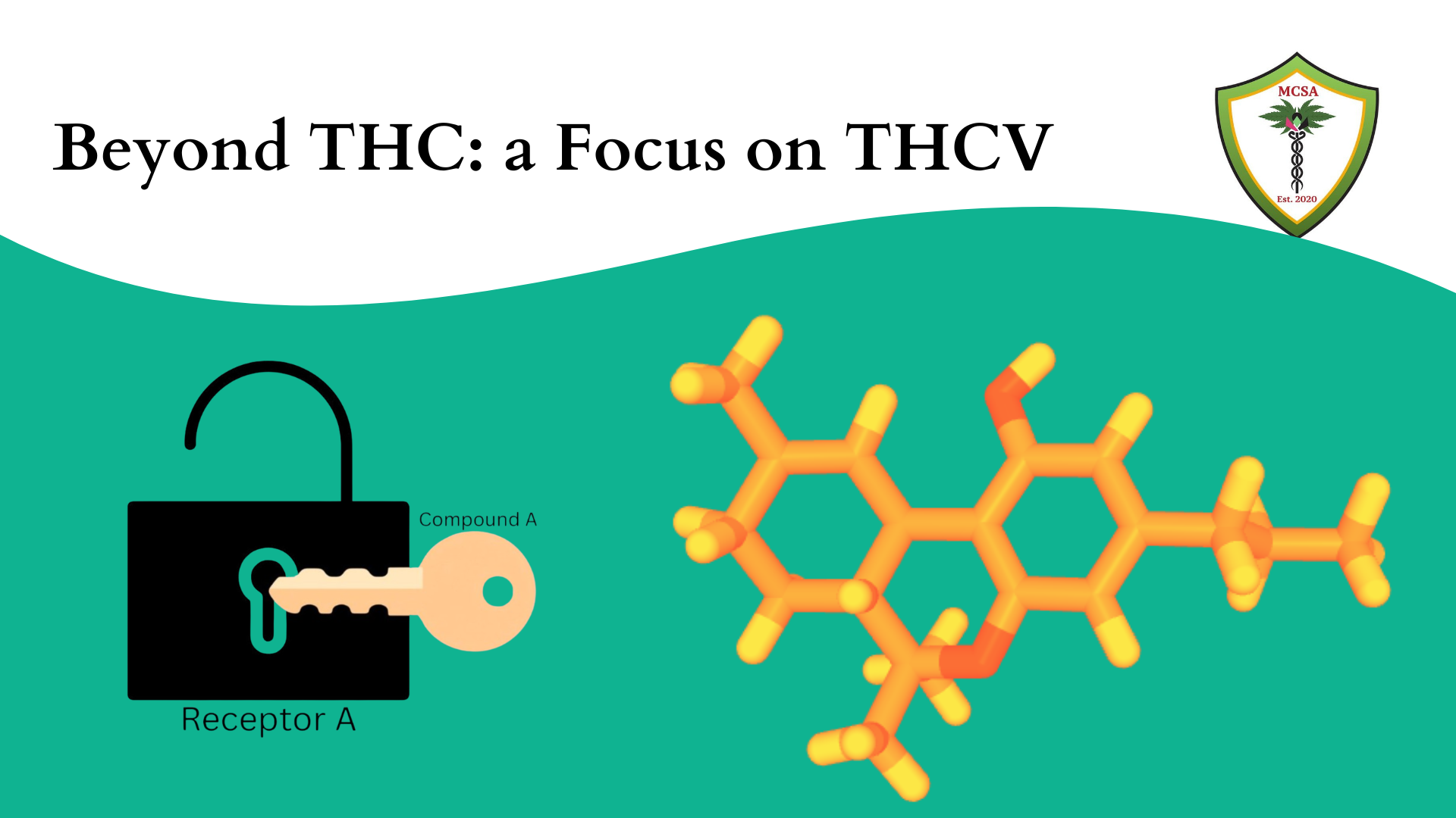 Beyond THC: A Focus on THCV