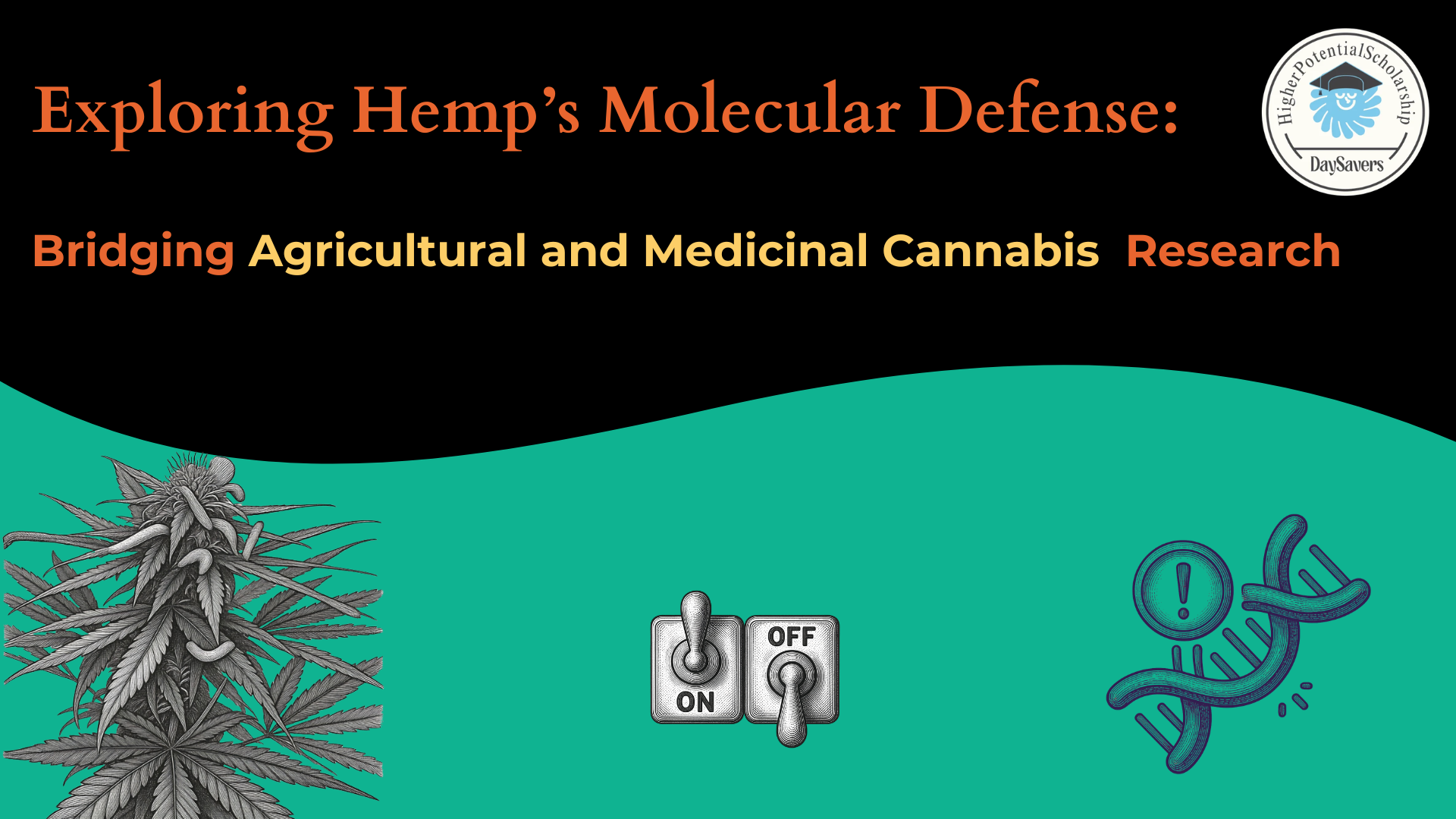 Exploring Hemp’s Molecular Defense: Bridging Agricultural and Medicinal Cannabis Research 