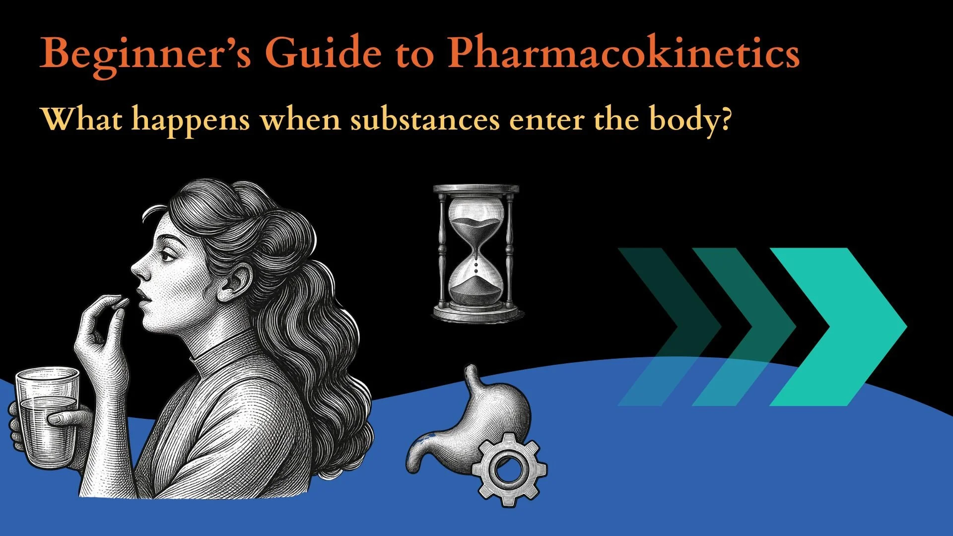 Beginner’s Guide to Pharmacokinetics