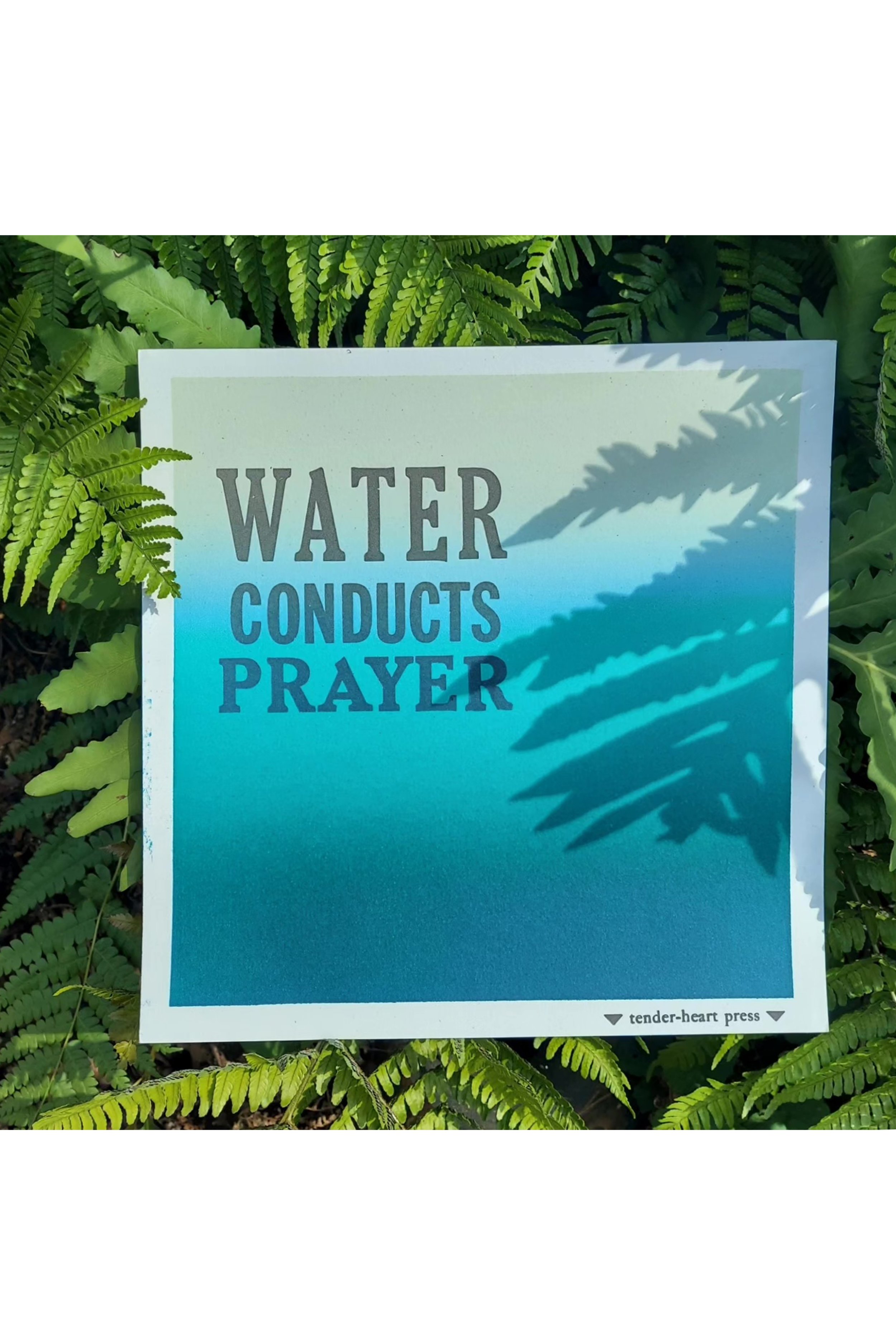 Wholesale Water Conducts Spells- Qty 5
