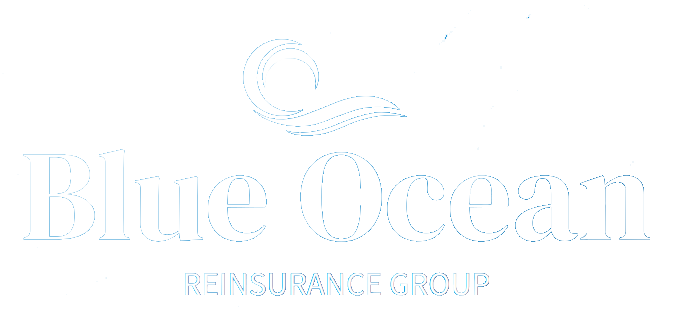 Meet the Team — Blue Ocean