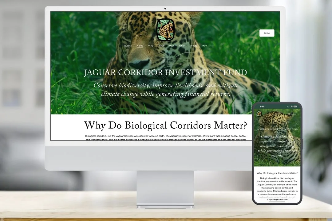 Website Design. + Development / Squarespace
