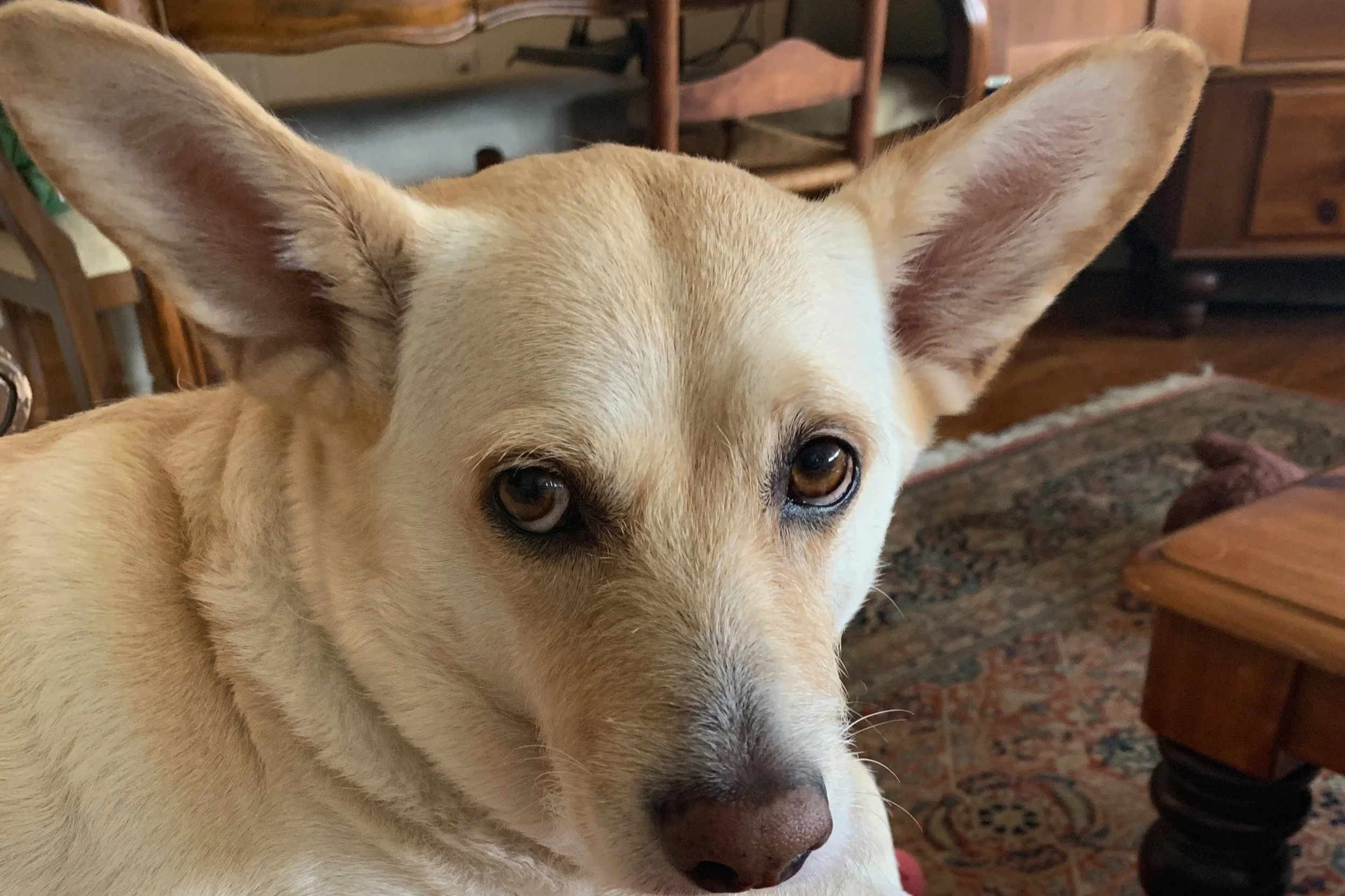  Kathleen “Kassy” McCall and team. 