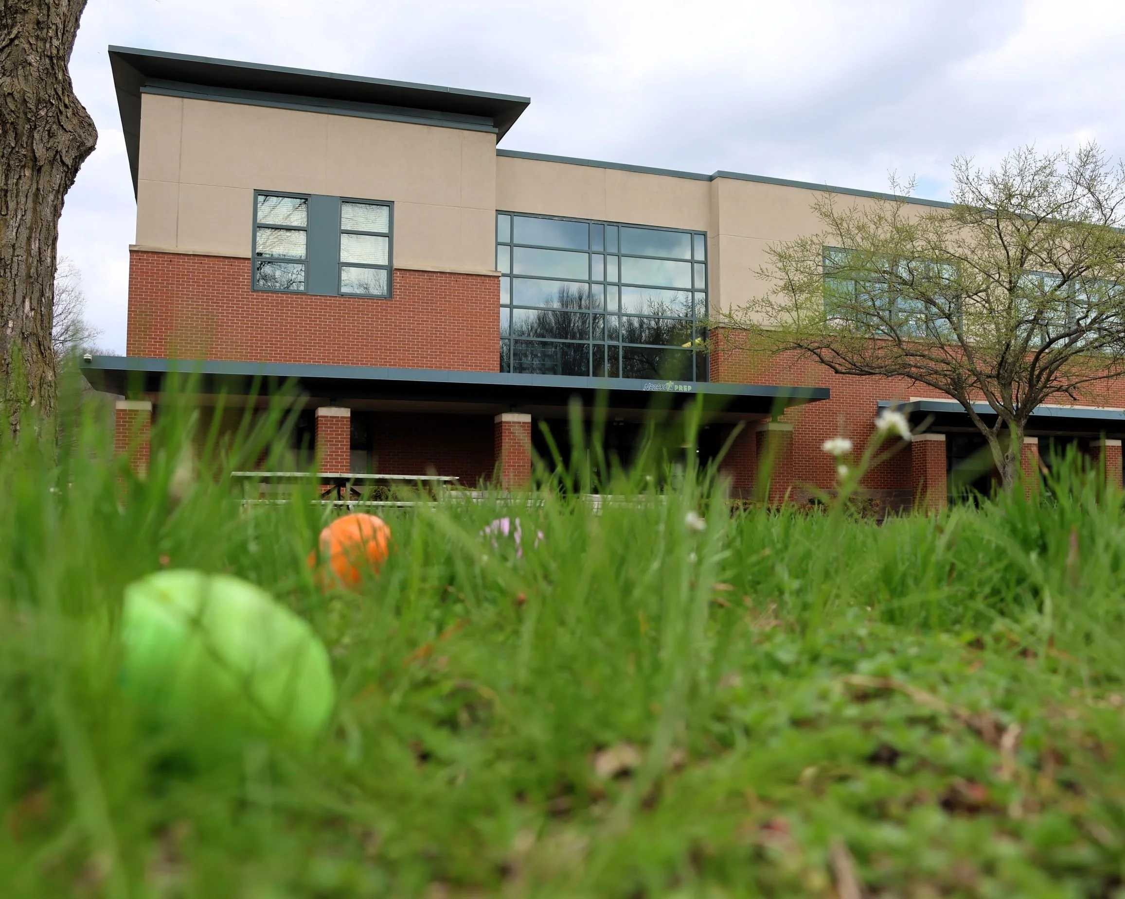 Egg Hunt SM 3.JPG
