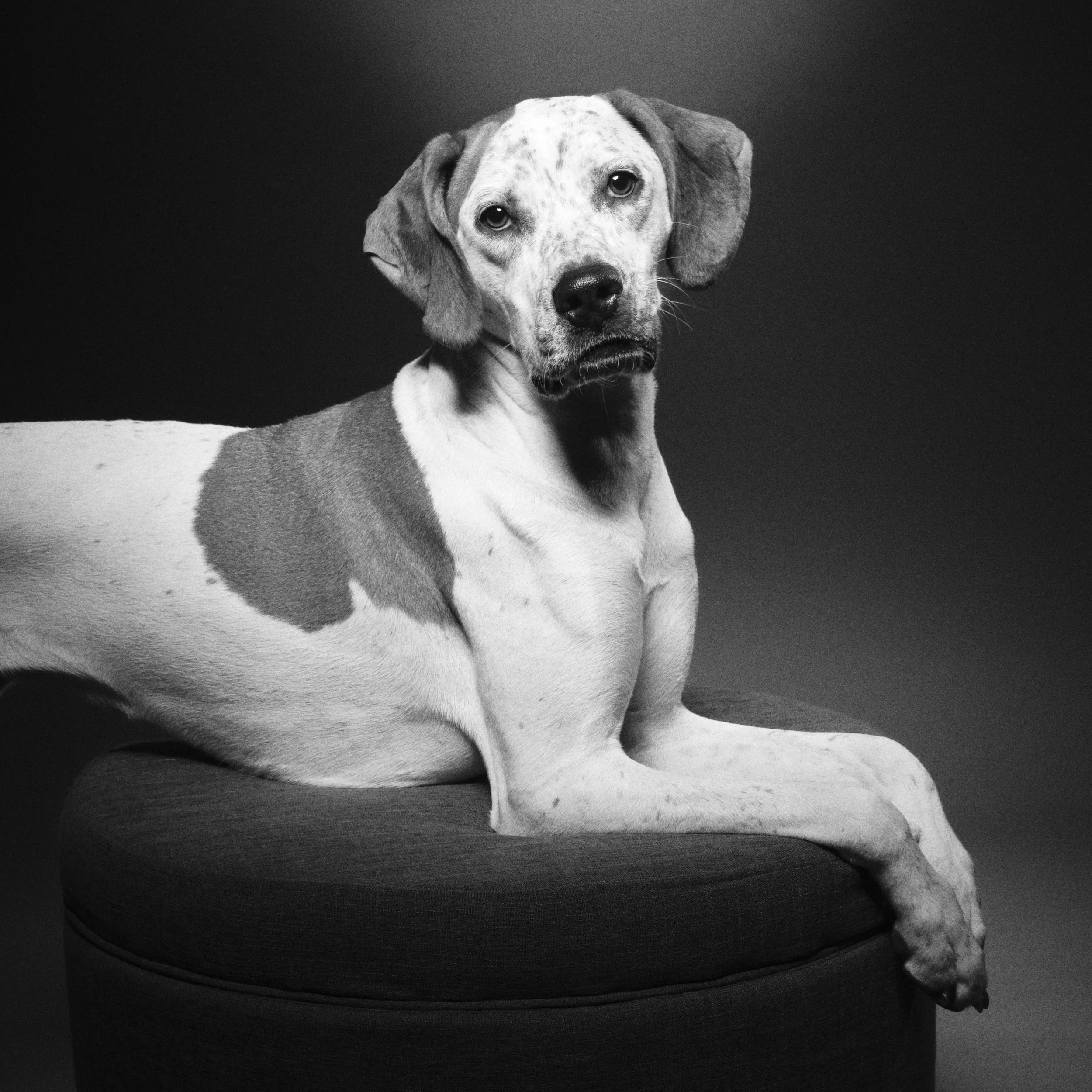 Why I Love This Photo: Telling the story of Moti in the moment