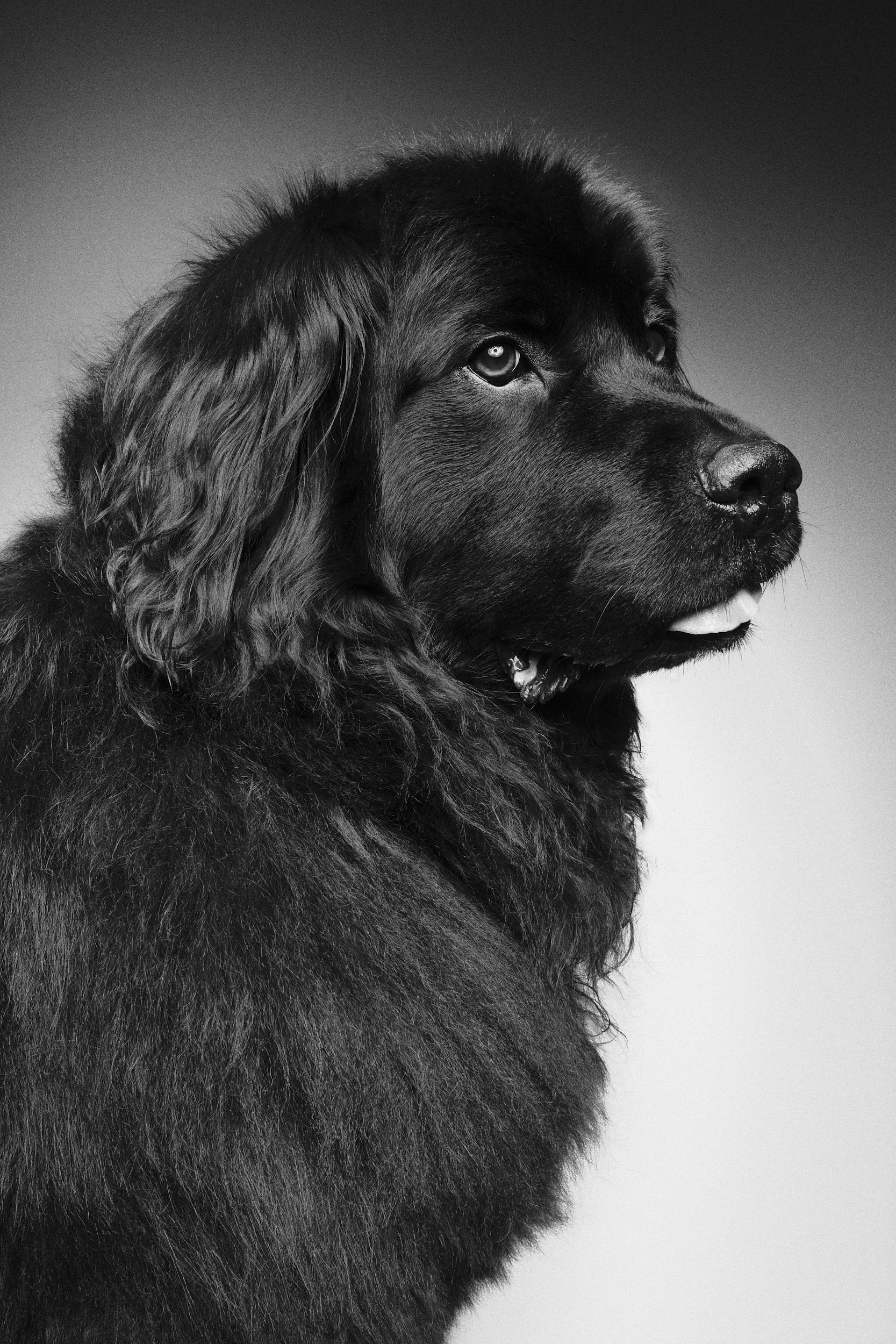 Why I Love This Photo: The Tiny Detail In Heidi’s Portrait That Always Makes Me Smile