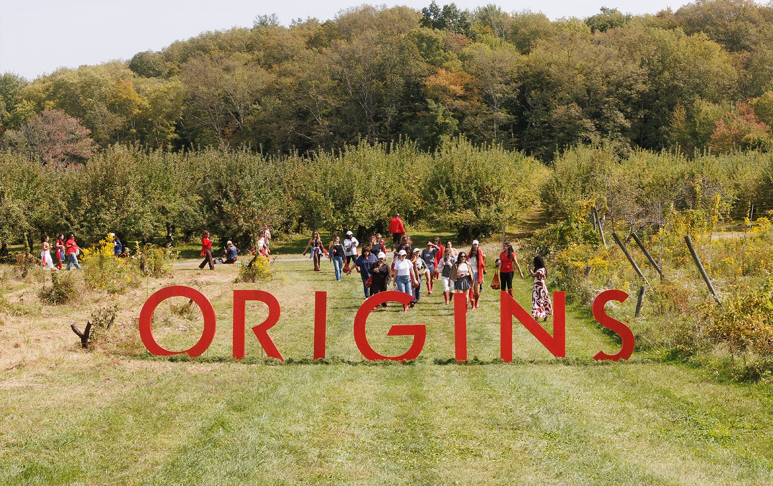 ORIGINS | YOUTHTOPIA