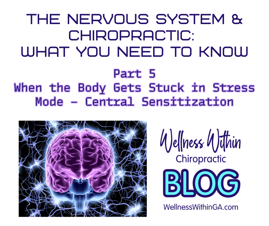 The Nervous System and Chiropractic: What You Need to Know Part 5: When the Body Gets Stuck in Stress Mode – Central Sensitization