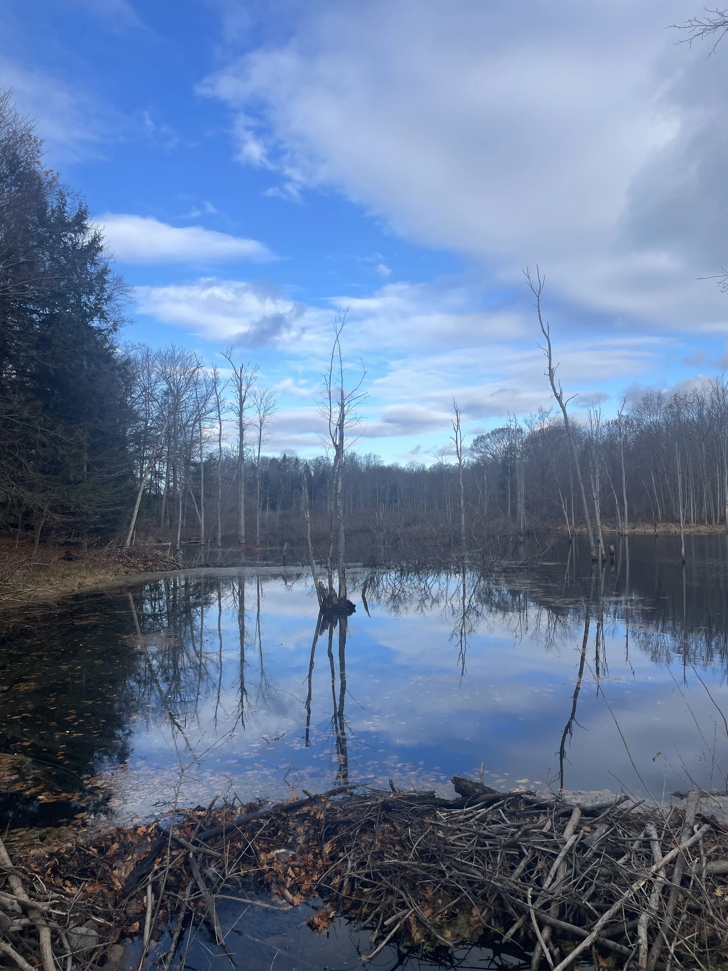 Gratitude - the Greatest Way to Start Your Day