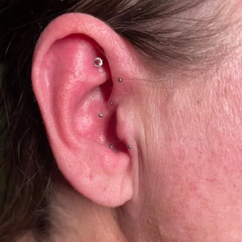 Ear Seeding in Oswego, NY