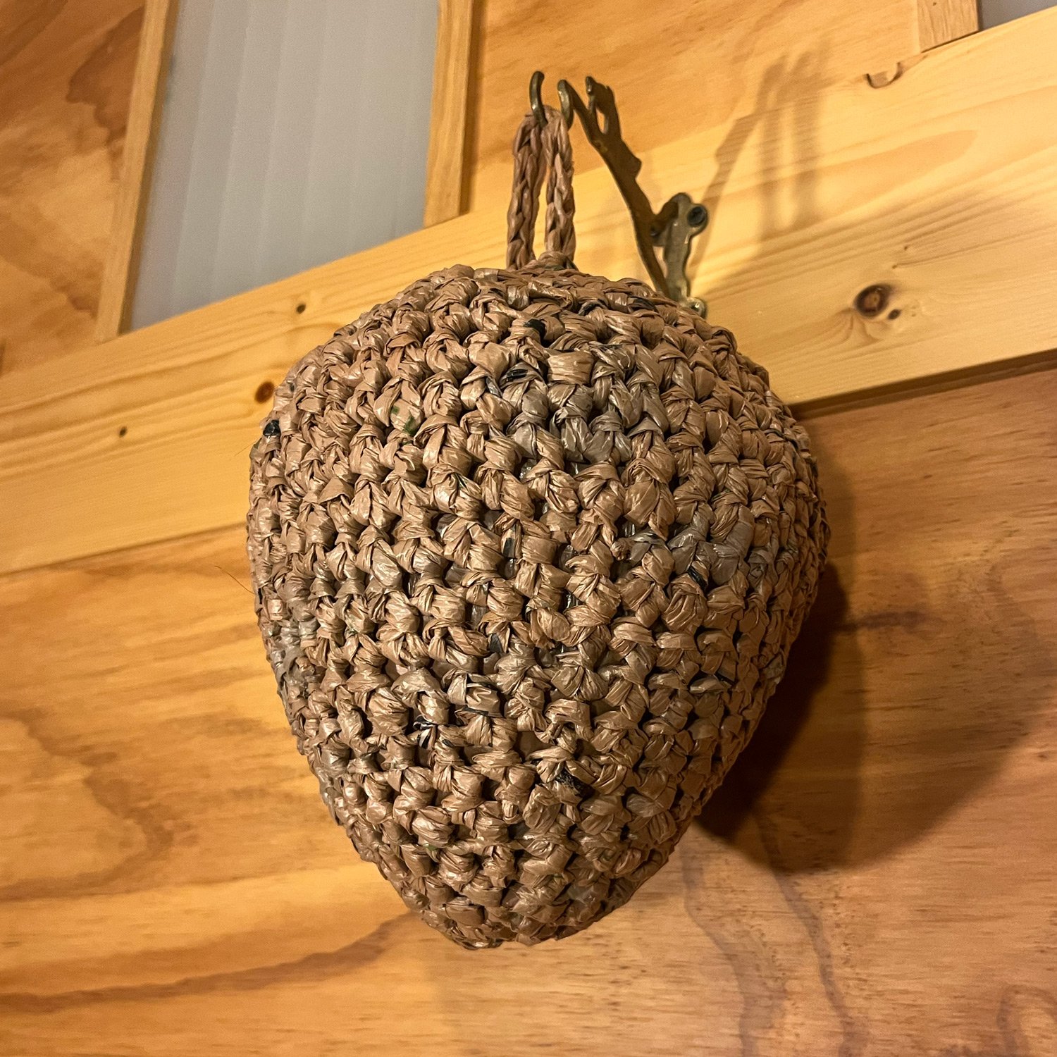 wasp-nest-sq-for-web.jpg