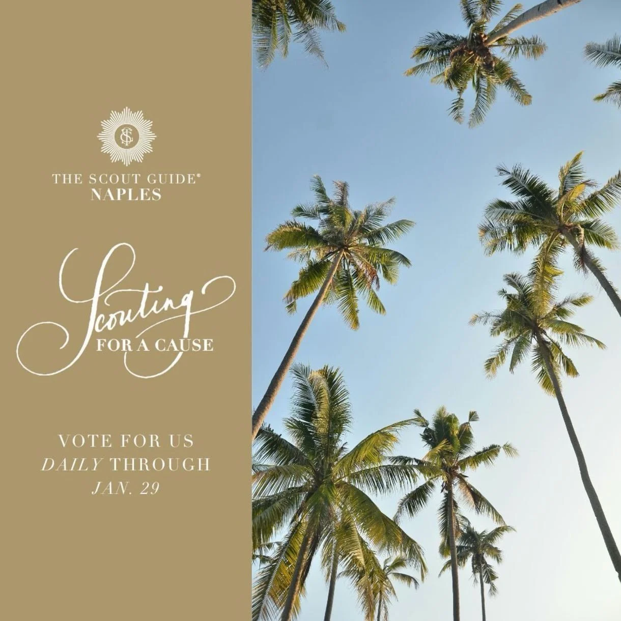 SCOUTING FOR A CAUSE | We are so excited to be nominated as a favorite nonprofit in Naples! We would love your support by voting for @sister.seekers in @tsgnaples &ldquo;Scouting for a Cause&rdquo; contest. Your vote enters you for a chance to win a 