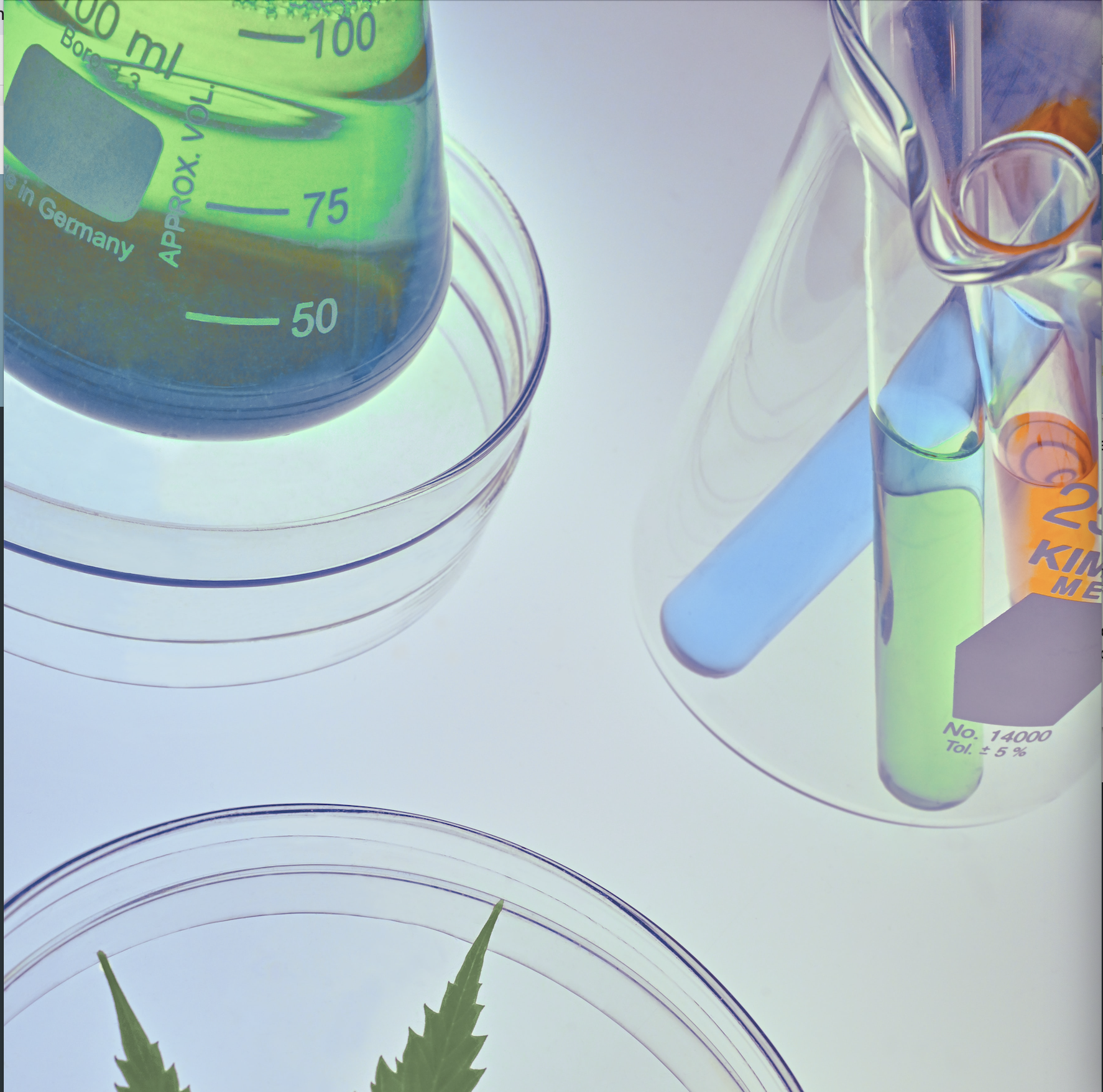 Screenshot 2024-02-18 at 10.35.01 AM.png