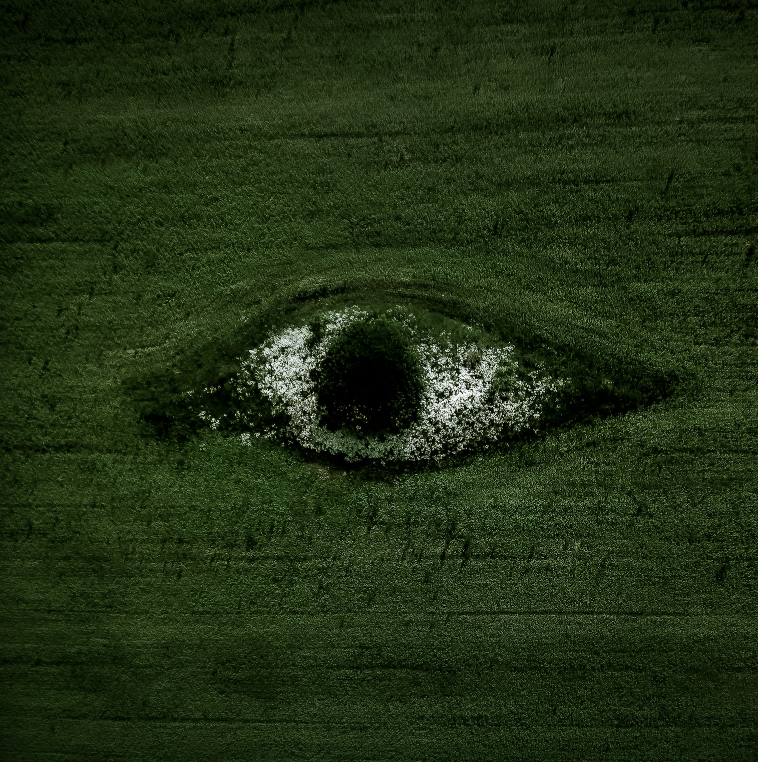 Screenshot 2024-02-18 at 11.14.42 AM.png