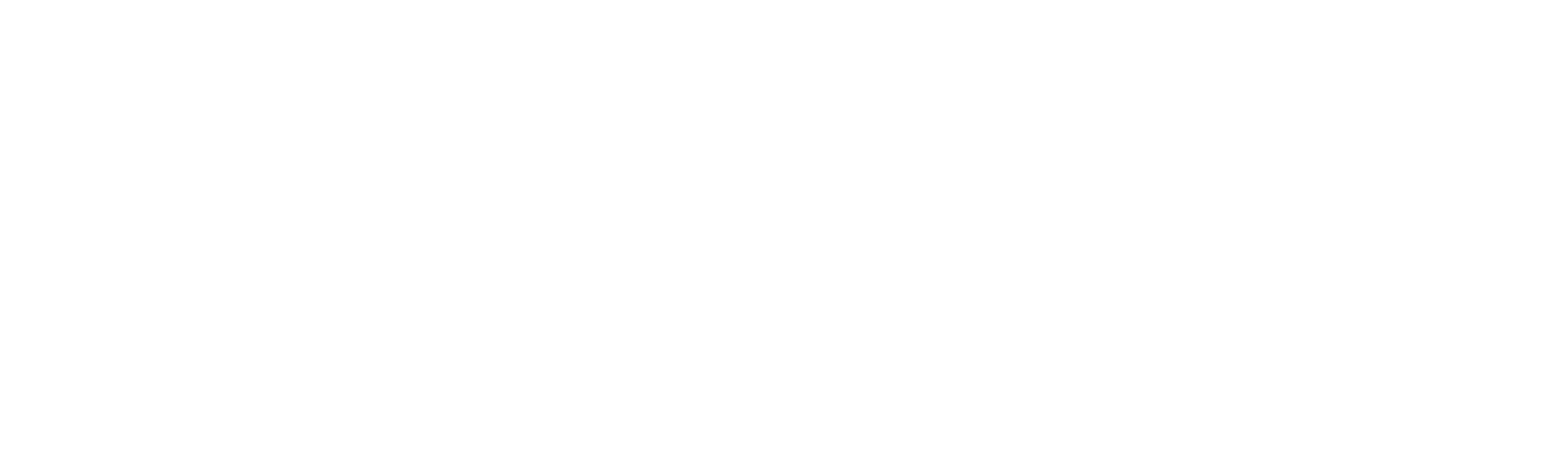 liz czech