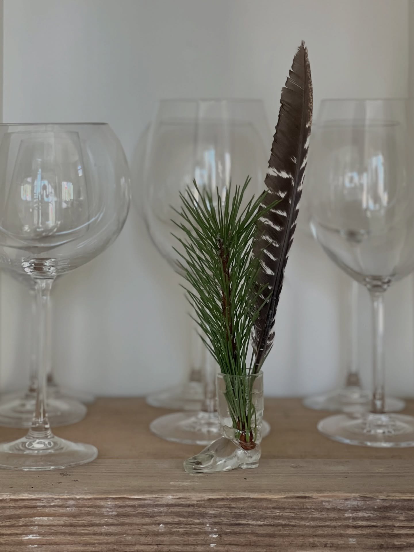 You can borrow my boot shot glass for a boot scootin&rsquo; boogie 🎶 found feather not included 

#exquisitelybored