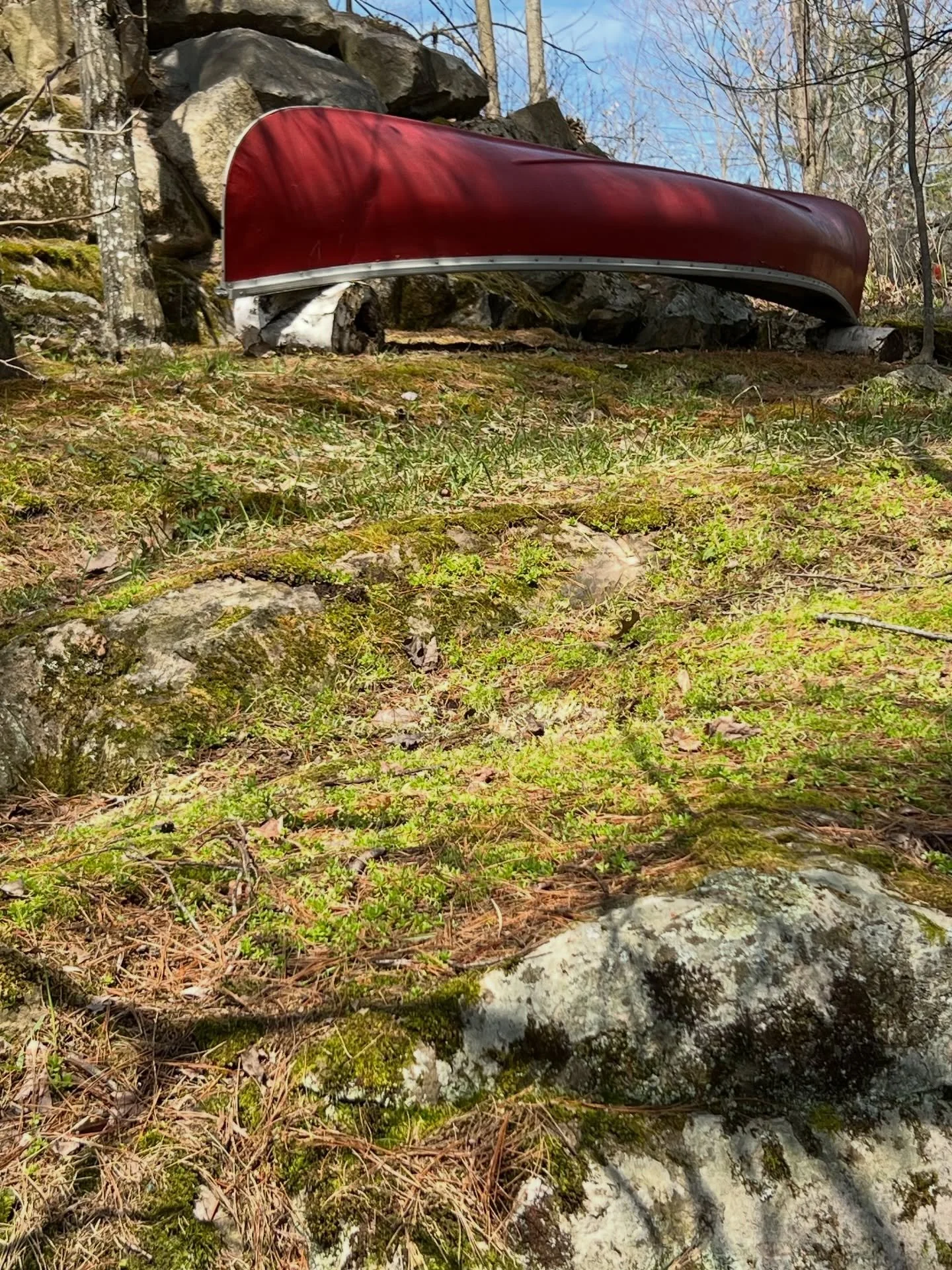 I washed my canoe today&hellip;I mean if you aren&rsquo;t out washing your canoe are you even living?! 🤷&zwj;♀️ 🛶

#exquisitelybored #stoneylake #kawarthalakes #kawarthanow