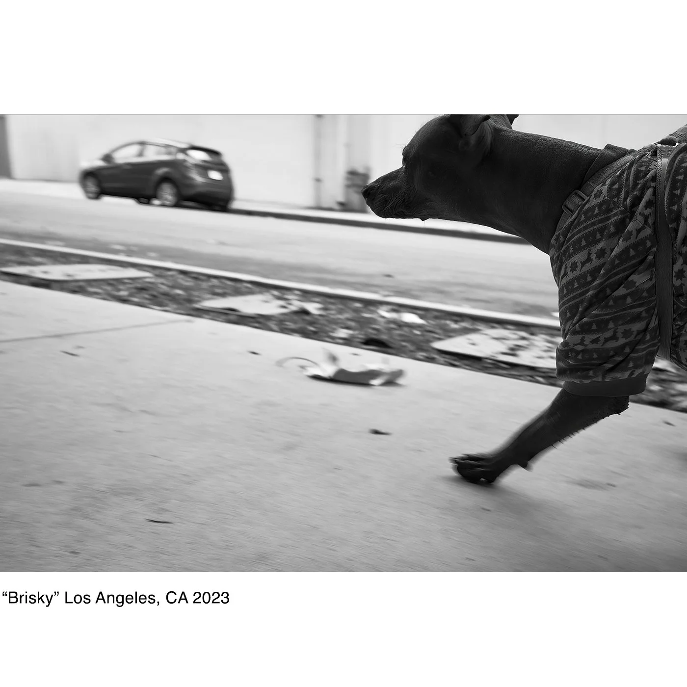 Brisky_Los Angeles, CA_2023_©Copyright John P. Fleenor.jpg