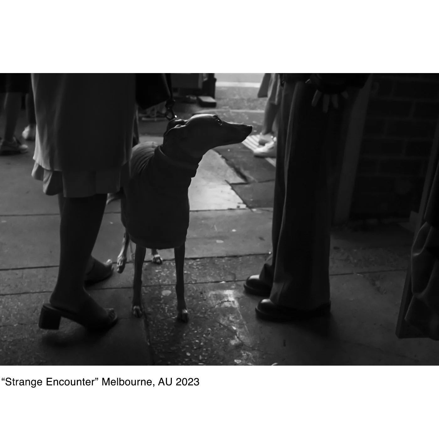 Strange Encounter_Melbourne, AU_2023_©Copyright John P. Fleenor.jpg