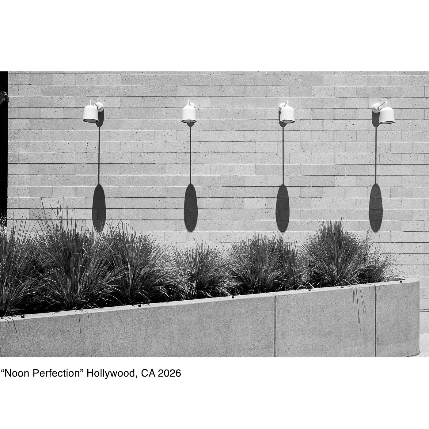 Noon Perfection, Hollywood, CA, 2026 © John P. Fleenor.jpg