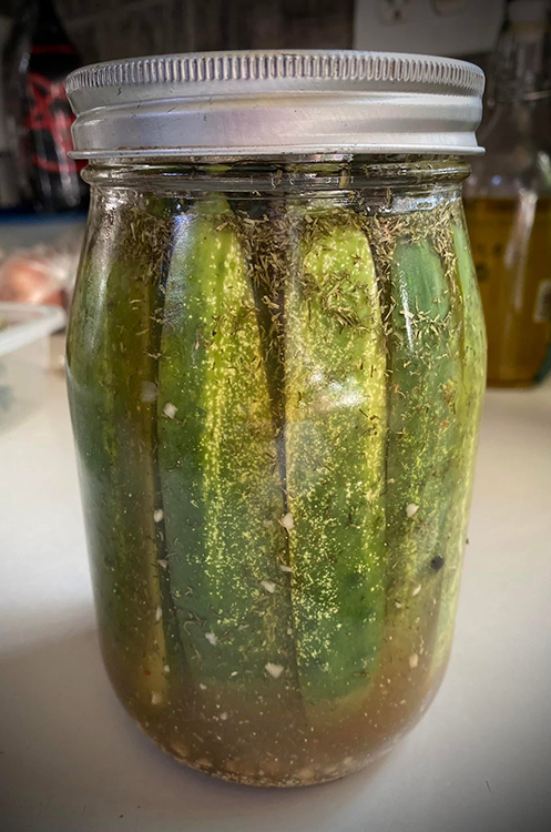HOMEMADE DILL PICKLES