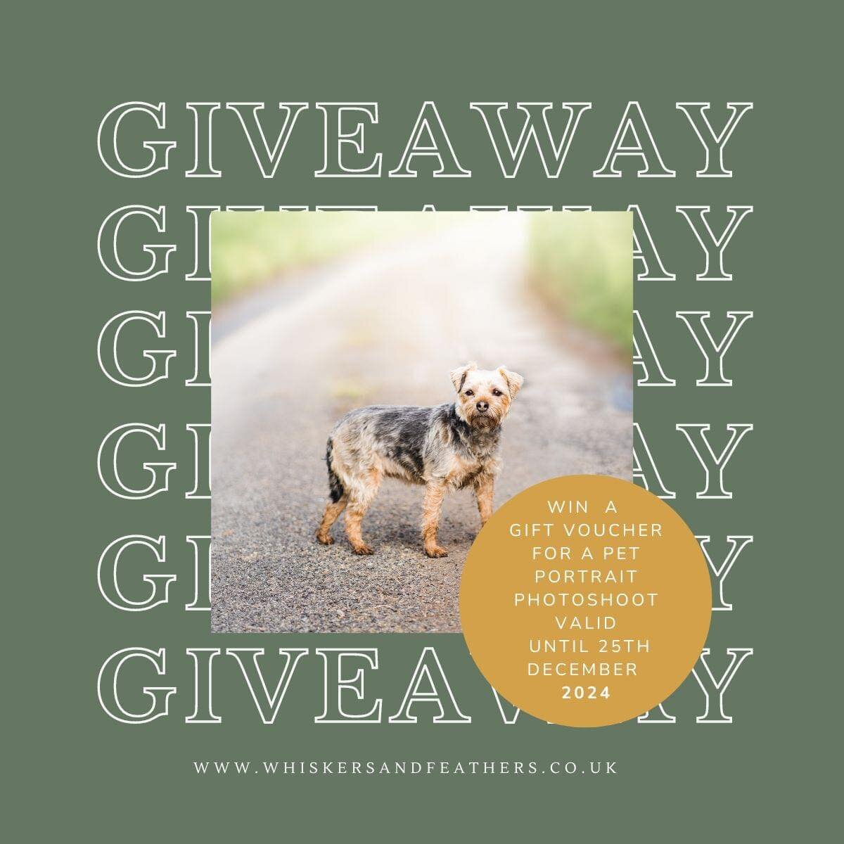 ✨ Pet Photoshoot Giveaway! Enter Now for a Chance to Win! ✨

🏆 Enter Now:
Simply fill in a quick form at www.whiskersandfeathers.co.uk/competition 

Winners to be announced this Sunday!

. . . . . . . . . . . . .

This Christmas, I am overjoyed to s