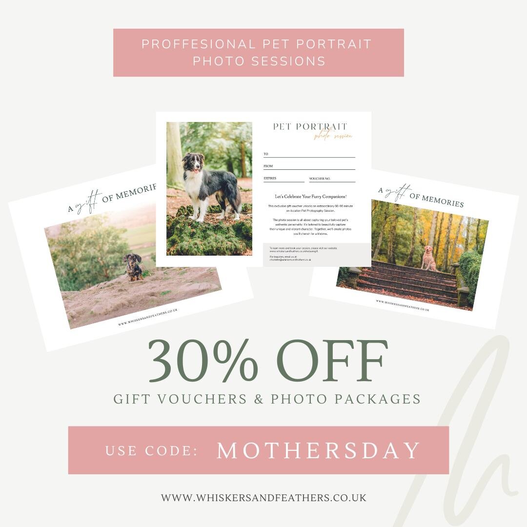 🌻 This Mother&rsquo;s Day, give the gift of cherished memories with our Professional Pet Portrait Photo Session! 📸🐾

This special season, treat your mother to an experience that lasts a lifetime. Our gift vouchers make the perfect present for anyo