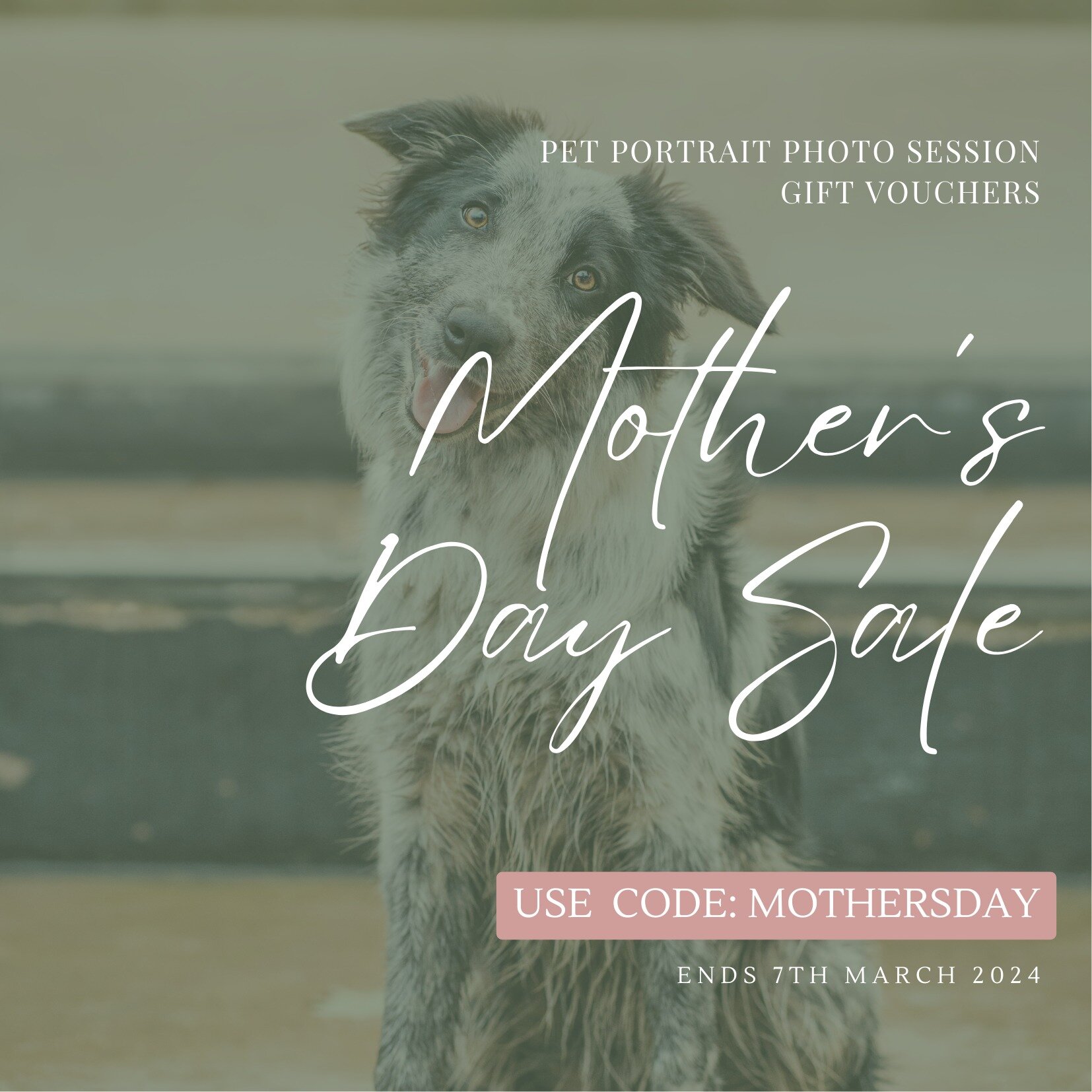 🌻 This Mother&rsquo;s Day, give the gift of cherished memories with our Professional Pet Portrait Photo Session! 📸🐾

This special season, treat your mother to an experience that lasts a lifetime. Our gift vouchers make the perfect present for anyo