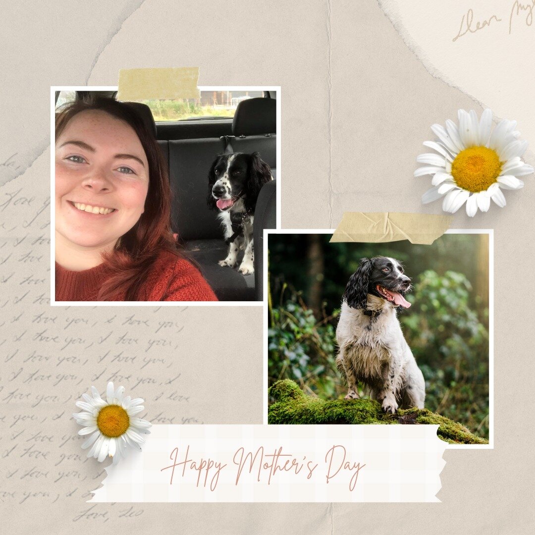 🌸🐾 Celebrating Pet Moms this Mother's Day! 🐾🌸

This Mother's Day, let's celebrate all the incredible pet moms out there who pour their love, care, and devotion into their beloved companions! 🐶🐱🐰🐍

Whether you're a proud pet parent or have a s