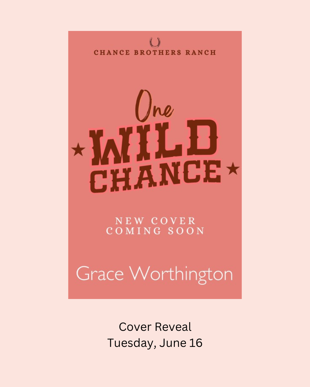 One Wild Chance cover reveal