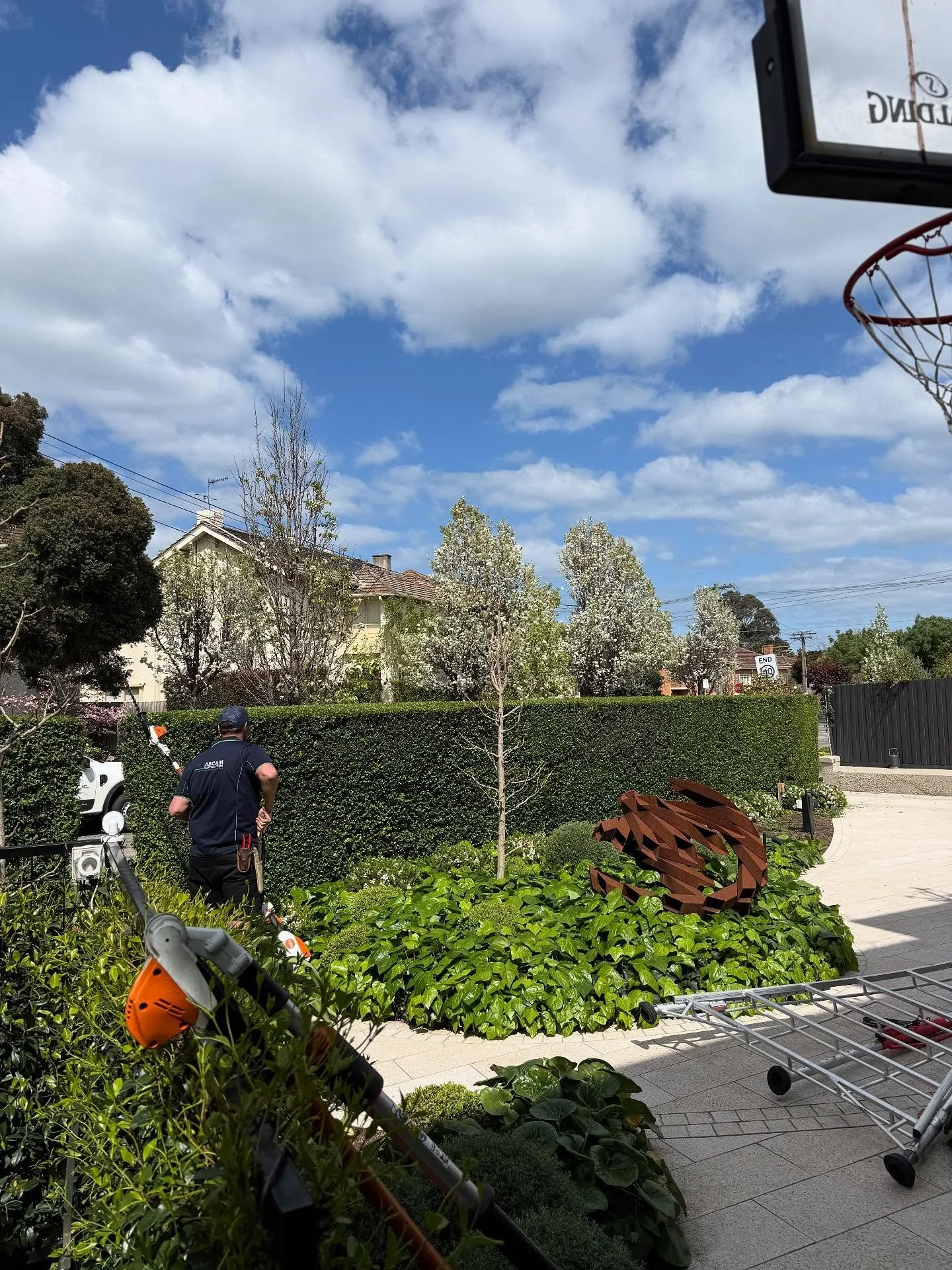 Our apprentice @anders_vanvliet showing the hedge who&rsquo;s boss ✂️💪 Looking sharp! 🌿