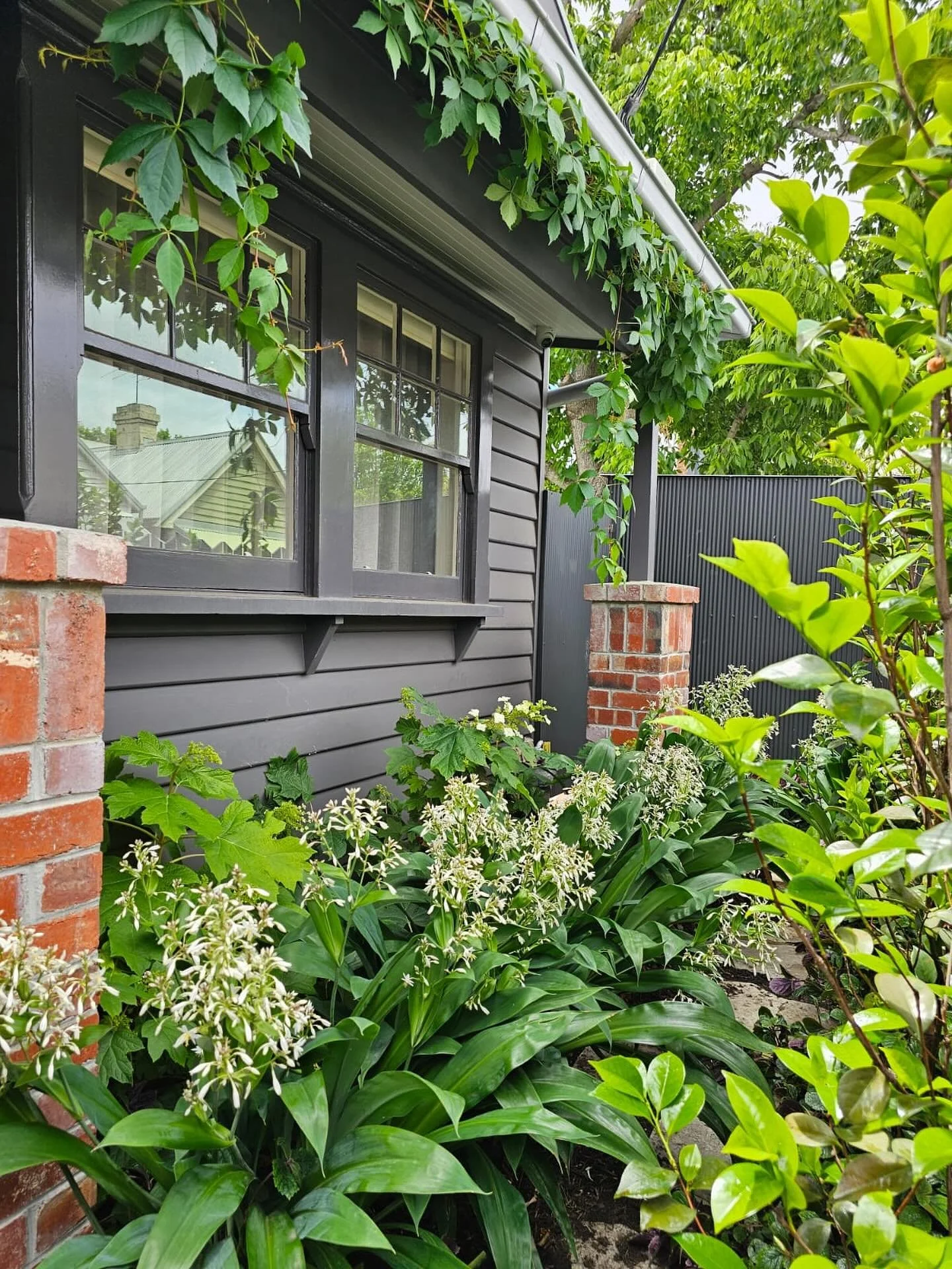 Layers of green, soft structure, and a garden that frames the home just right. 🌿

Horticultural Development: @abcamhorticulture 
Design: @benscott_design 
Construction: @greenervisionslandscapes