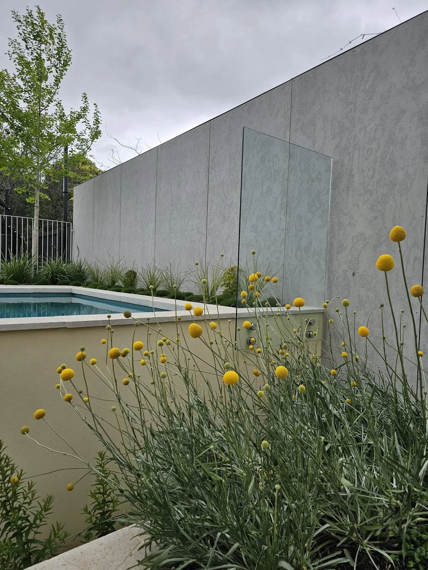 The team smashing it this week! 👏🏻🌿

@michael_d_gardener 
@anders_vanvliet