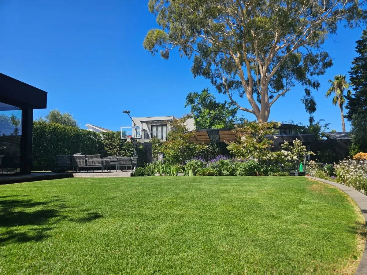 Trust the process. 🌿

30 days apart.
20 January 2026 &rarr; 19 February 2026.