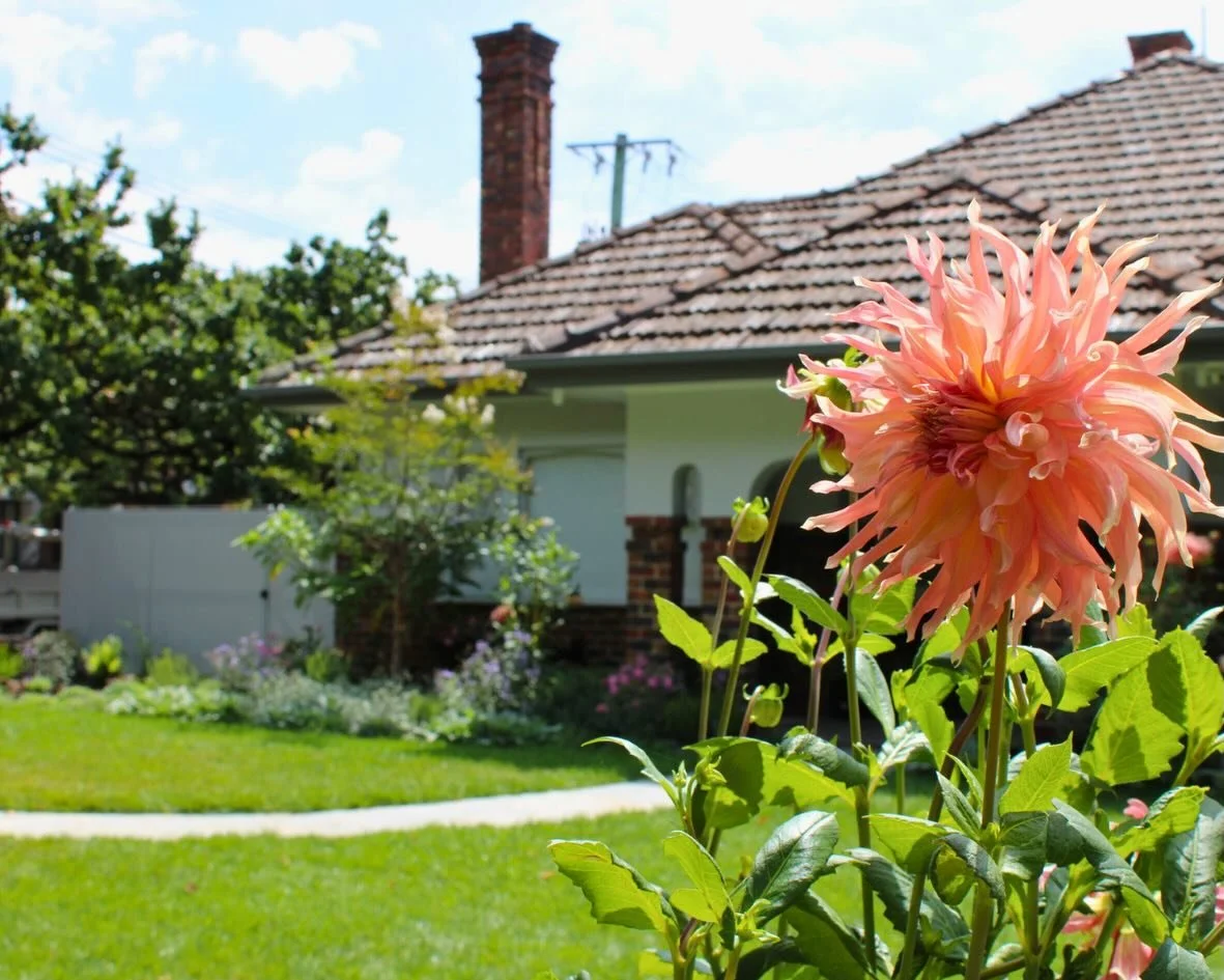 It&rsquo;s never just a garden&hellip; it&rsquo;s the space where life unfolds. 🌿

Horticultural Development: @abcamhorticulture 
Construction: @rycorlandscapes 
Design: @plume__studio
