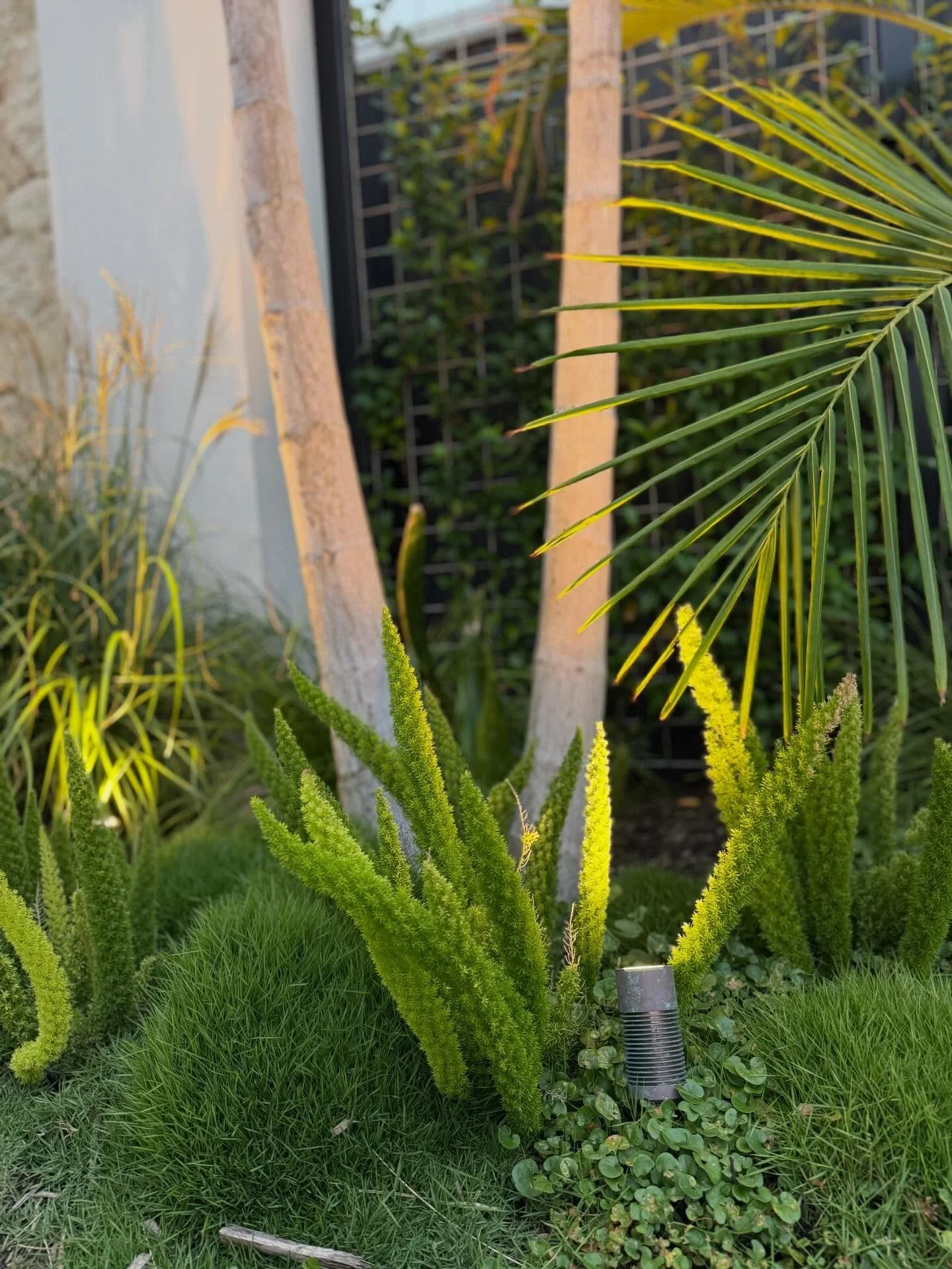 A little corner of calm where every detail counts. 🌿

Horticultural Development: @abcamhorticulture 
Design: @external.affairs 
Construction: @hamilton.landscapes