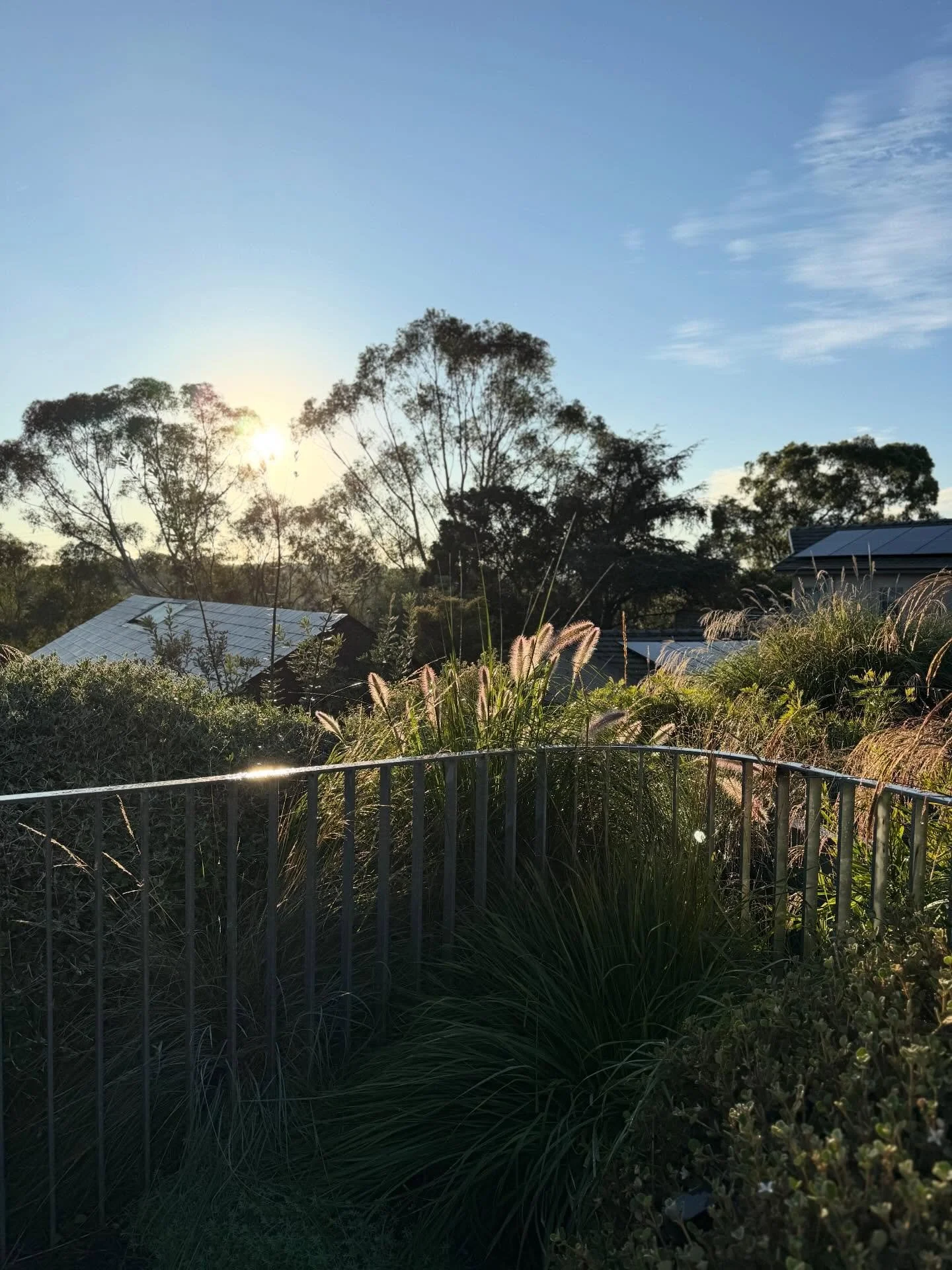 A space that becomes part of everyday life. 🌿

Horticultural Development: @abcamhorticulture 
Design: @benscott_design 
Construction: @greenervisionslandscapes
