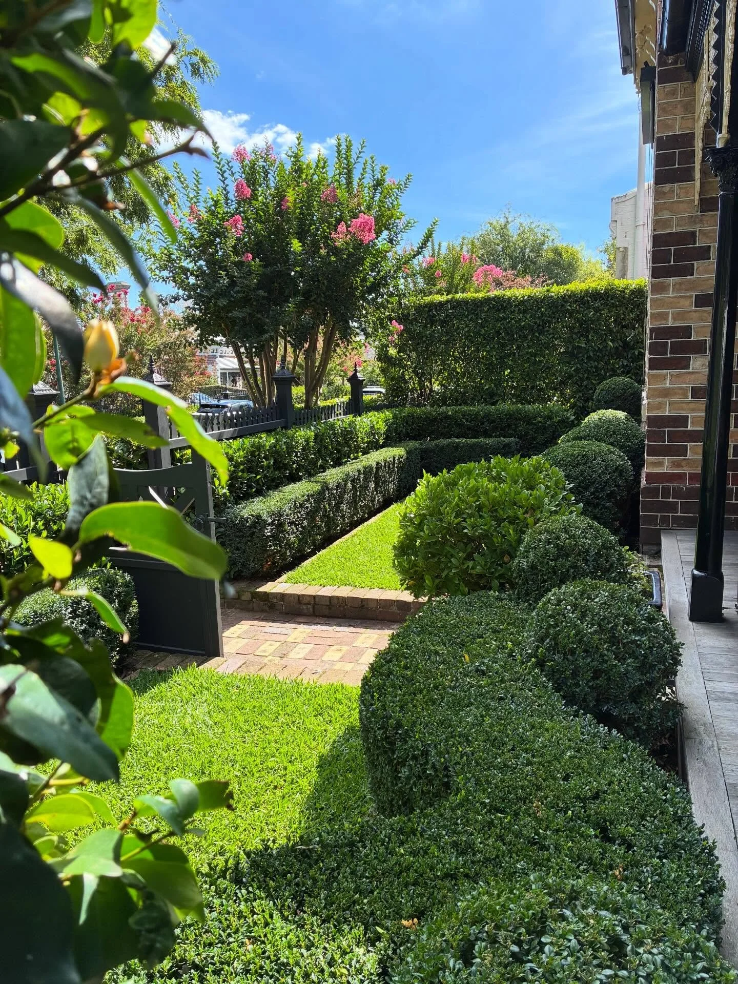 Sharp lines, clean edges, everything where it should be. 🌿

Horticultural Development: @abcamhorticulture