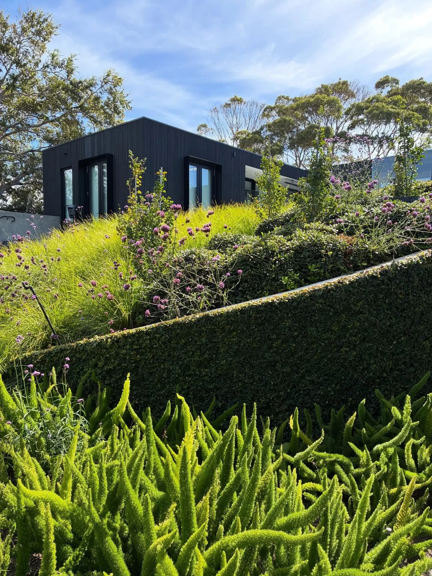 The team absolutely nailing it 👏🏻👏🏻👏🏻. 

@anders_vanvliet @noah.smiith