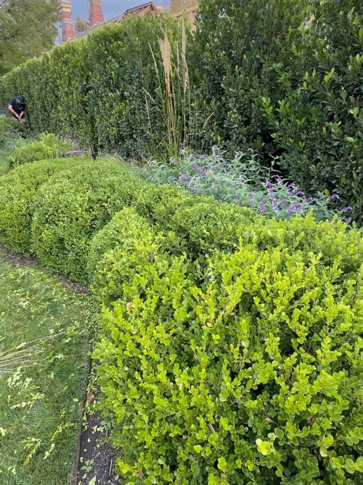 Most of the time, we show you the results.

The clean lines.
The finished lawns.
The gardens that just feel right.

But behind it&hellip;

There&rsquo;s a bit of blood (sometimes),
a fair bit of sweat,
and yeah&hellip; a few tears here and there too.