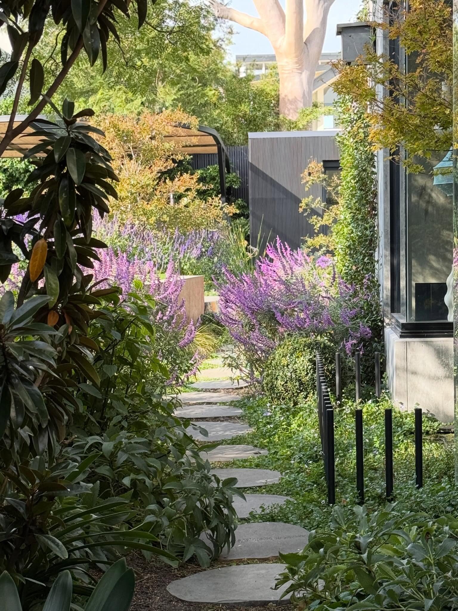 Where the path slows you down&hellip; and the rest takes care of itself 🌿

Horticultural Development: @abcamhorticulture 
Design: @paulpritchardlandscapedesign 
Construction: @adamhompaslandscapes
