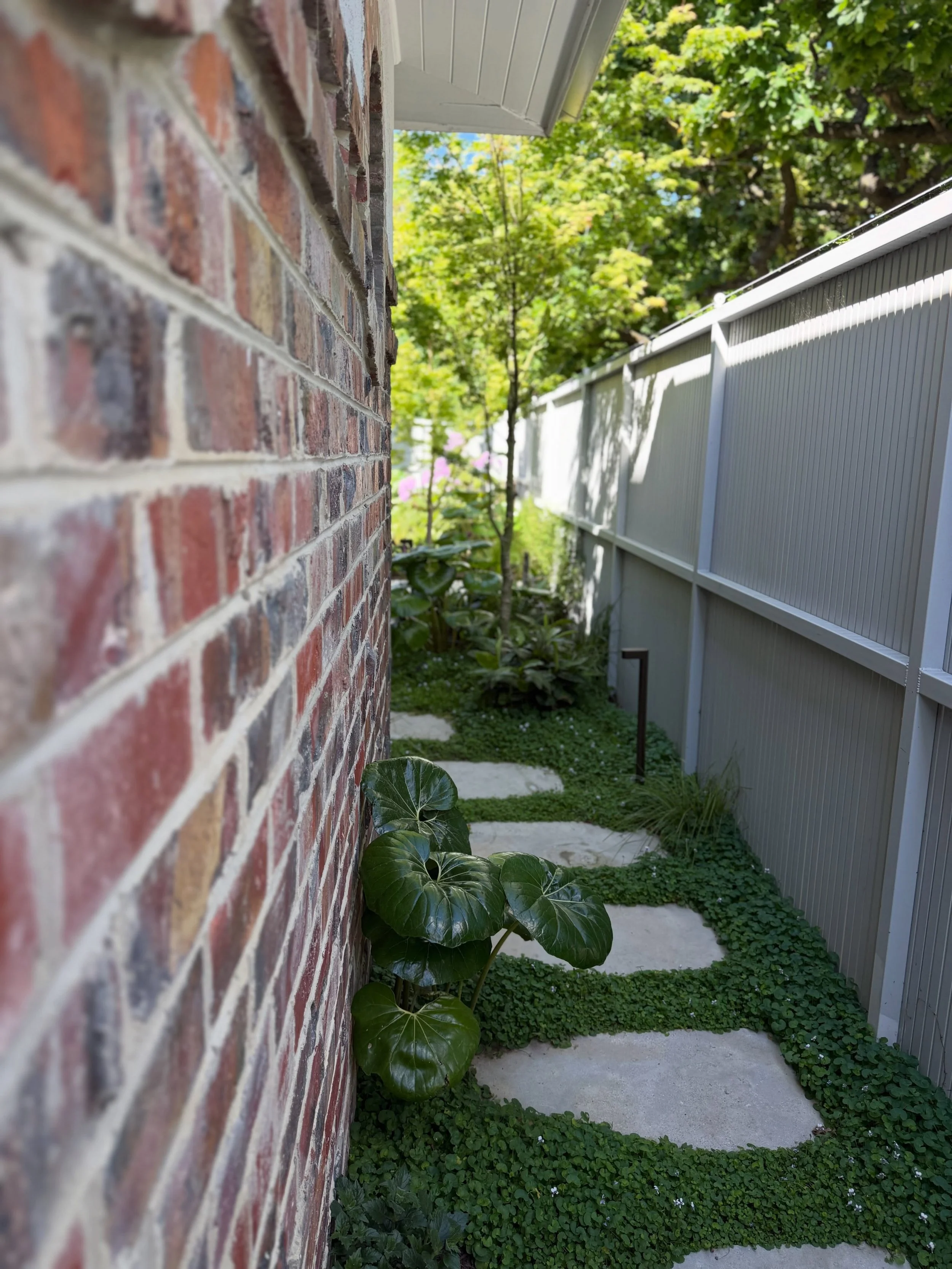 A little green in every corner. 🌿

Horticultural development: @abcamhorticulture 
Construction: @rycorlandscapes 
Design: @plume__studio