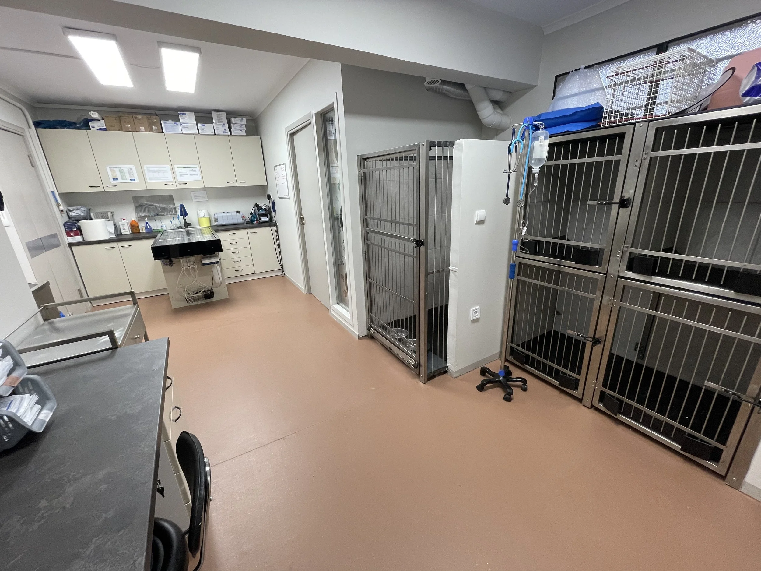 Room with kitchen area and large metal animal kennels, some kitchen appliances, cabinets, and cleaning supplies.