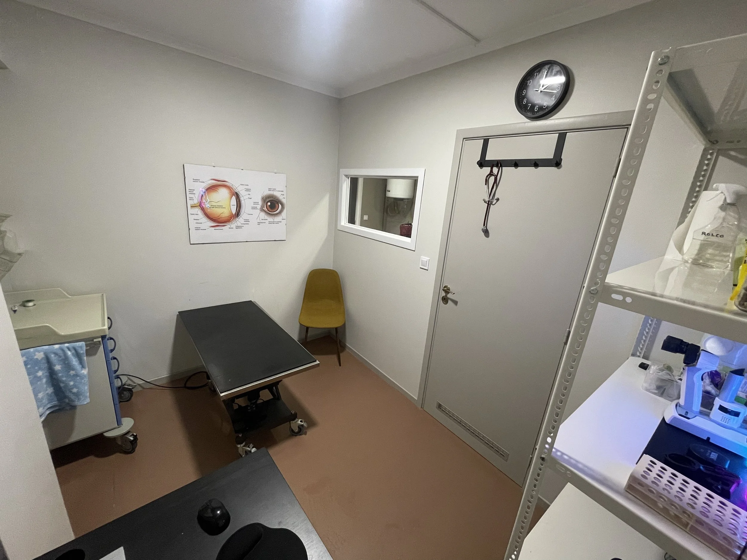 Medical examination room with a computer monitor, a rolling stool, a desk with a laptop and notebooks, an examination table, and a neon sign of a cat on the wall.
