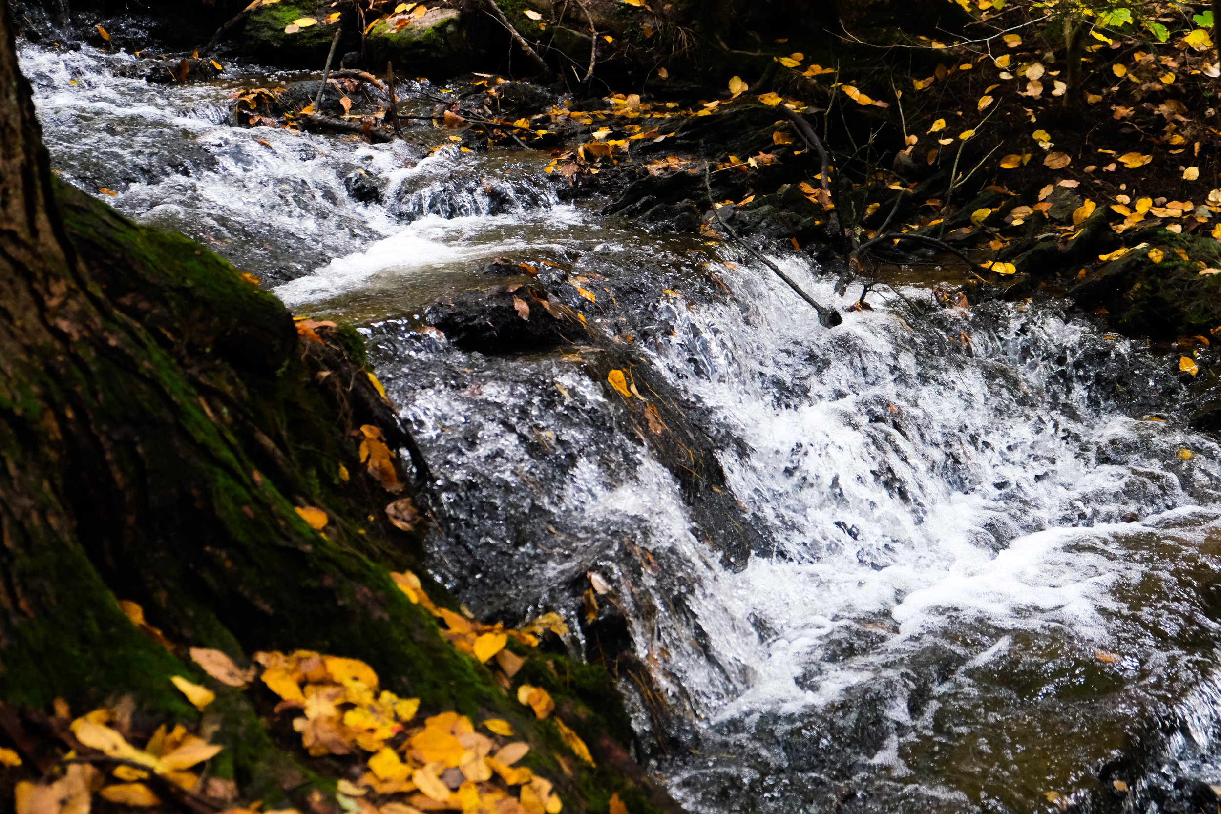 DSCF2906.jpg