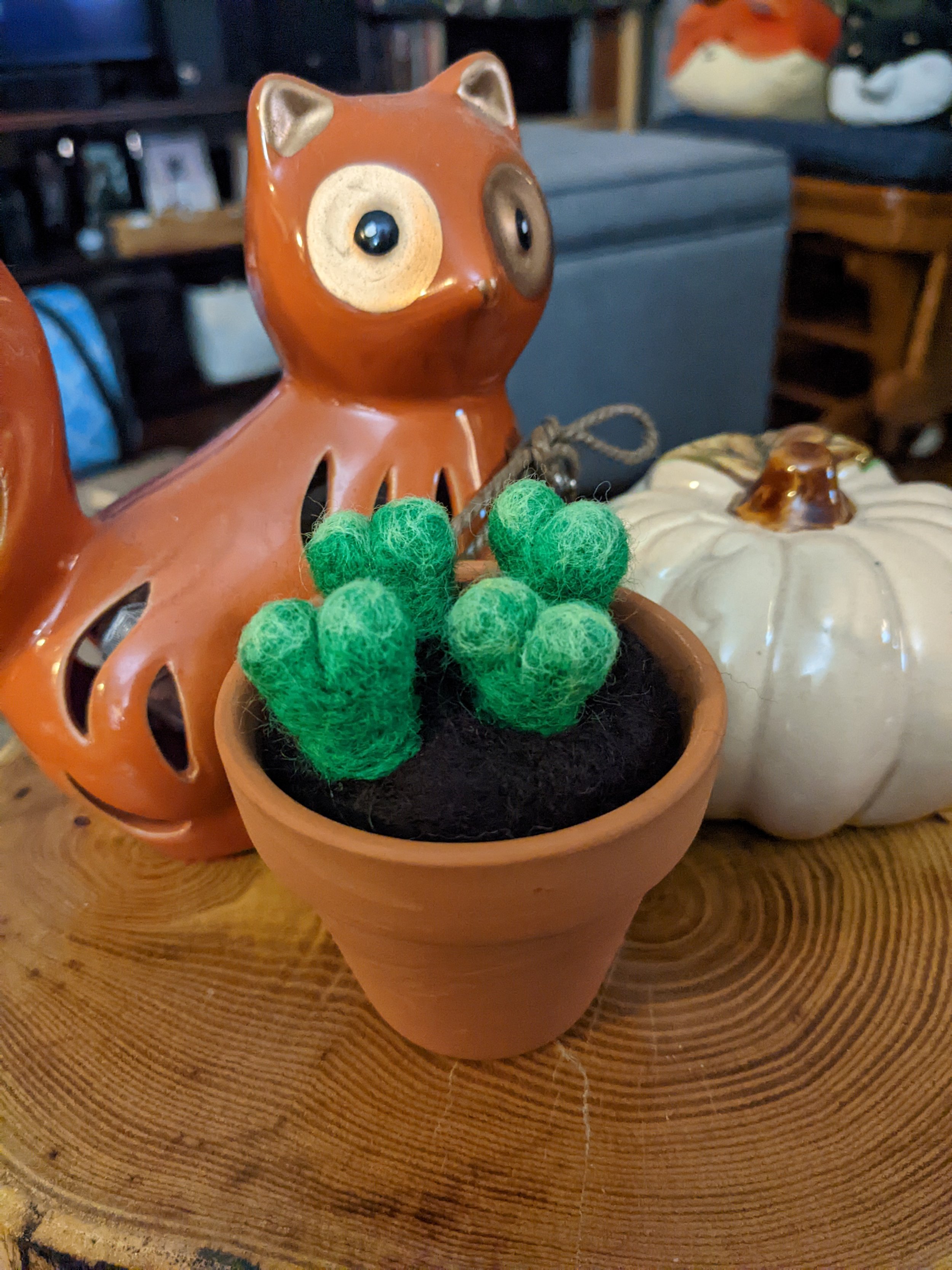 needle felted succulent